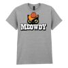 Adult t-shirt Heavy Cotton Thumbnail